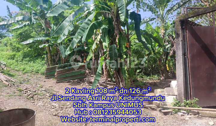 2 Bidang Tanah Dijual SHM Hak Milik Sblh Kampus Unimus Kedungmundu Tembalang Semarang Timur 2