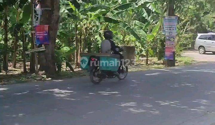 Tanah Dijual Murah SHM Hak Milik Pribadi di Jl Raya Batursari Mranggen Semarang Timur 1