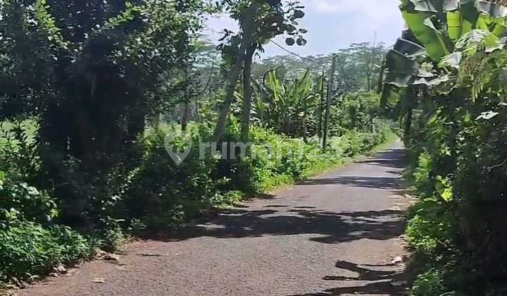 Land for Sale SHM Private Ownership Rights Jl Raya Nongko Lanang Wonoplumbon Mijen West Semarang 2