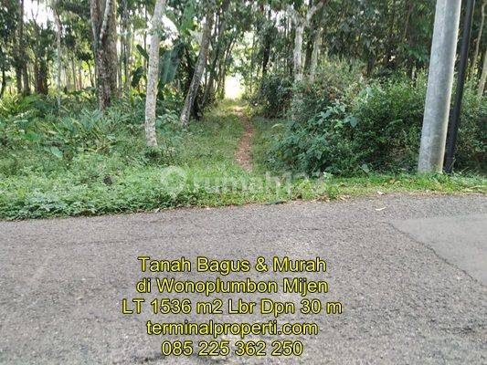 Tanah Dijual SHM Hak Milik Jarak 30 M Dr Jl Raya Nongko Lanang Wonolopo Mijen 1