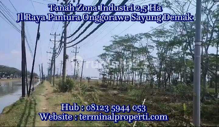 Tanah  Industri Dijual SHM Hak Milik Jl Raya Pantura  Onggorawe Sayung  Kab Demak dkt Pelabuhan