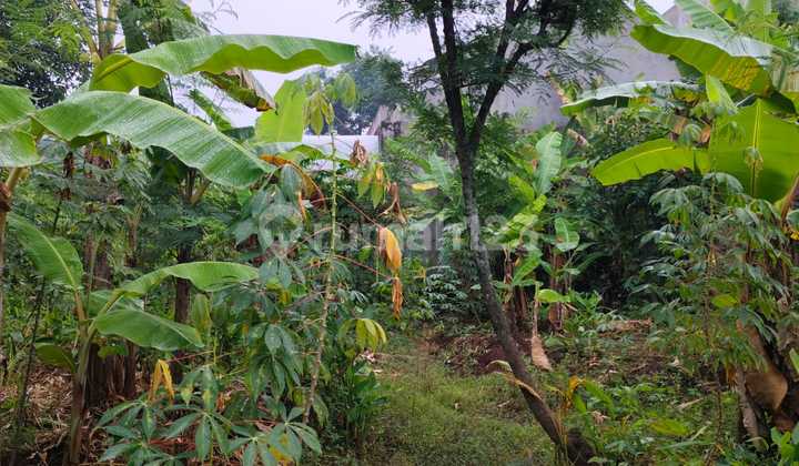 Tanah Dijual Murah SHM Hak Milik Dkt Banjarsari Bulusan Dekat Undip Tembalang Semarang Atas 2