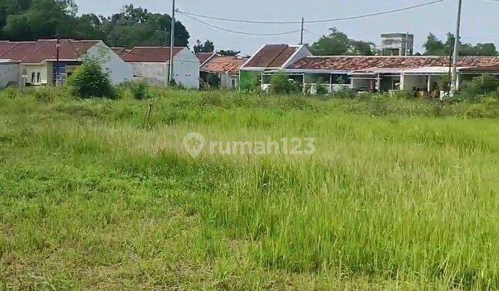 Dijual Tanah Rata 5 18 Hektar Sblh Perum Ivori Batursari Kec Mranggen Semarang Ke Timur 1