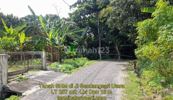 Tanah Dijual SHM Hak Milik  di Jl Sendangsari  Kel Kalicari Dekat Majapahit  Semarang Timur 2