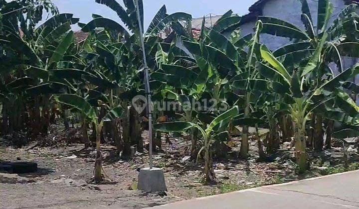 Tanah  Dijual Murah Pojok SHM Hak Milik  Pribadi di Batursari  Dkt Jalan raya Bandungrejo Mranggen Semarang Timur 1