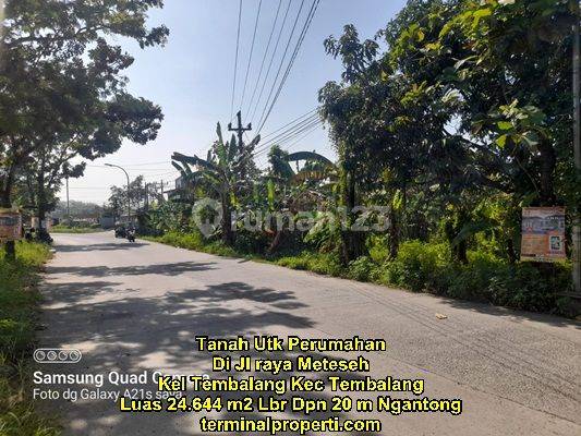 Tanah Dijual Murah SHM Hak Milik di Jl raya Meteseh Kec Tembalang Semarang Timur 1