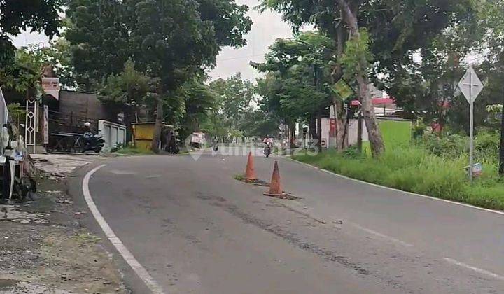 Tanah Dijual SHM Hak Milik di Jl Raya Elang Kel Mangunharjo Tembalang Semarang Timur 1