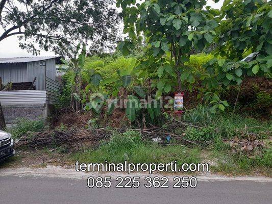 Tanah Dijual murah SHM Hak Milik di Jl Raya Durenan - Sendangmulyo Kel Mangunharjo Tembalang 2