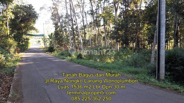 Tanah Dijual SHM Hak Milik Jarak 30 M Dr Jl Raya Nongko Lanang Wonolopo Mijen 1