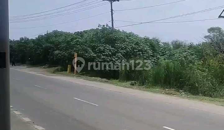 10 Hectares of Land Including Backfill with SHM (Certificate of Ownership) in Industrial Zone on Sukarno Hatta Ring Road, Kaliwungu Kendal 1