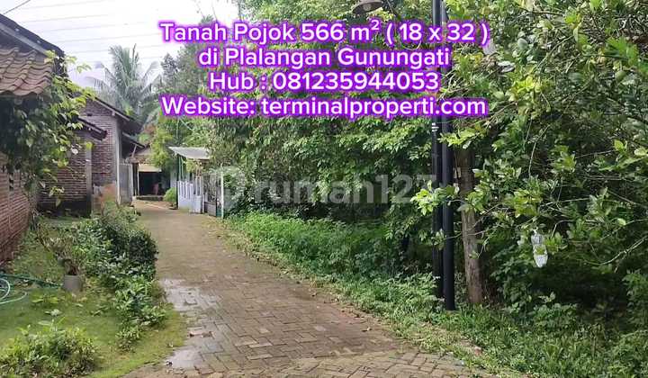 Corner Land with Durian, Avocado, Longan, Rambutan, Guava, Starfruit, Freehold, Plalangan, Gunungpati.