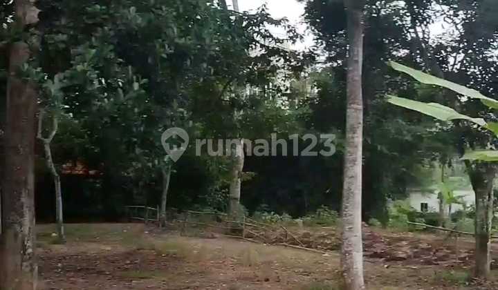 Tanah Dijual SHM Hak Milik Jl Raya Kyai Padak Masjid Kapal Podorejo Kec Ngaliyan Semarang Barat 2