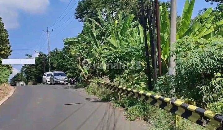 Tanah Dijual Murah SHM Hak Milik Utk Perumahan Di Jl Raya Kongkong Ngadirgo Mijen Semarang Barat 1