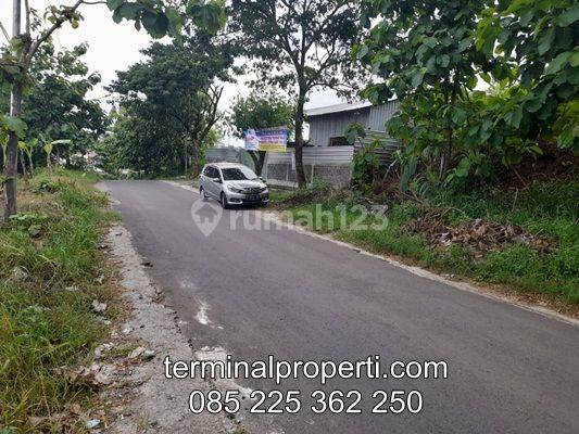 Tanah Dijual murah SHM Hak Milik di Jl Raya Durenan - Sendangmulyo Kel Mangunharjo Tembalang 2