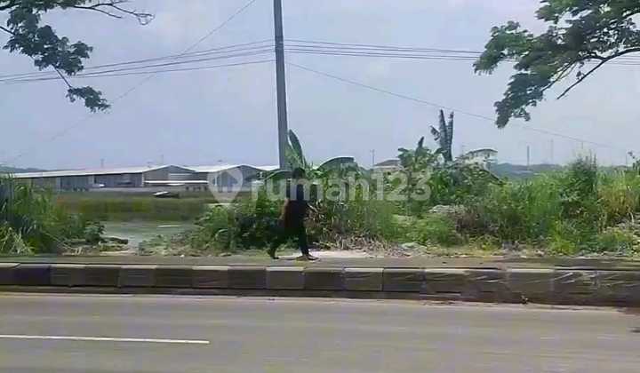 Land 5 - 50 Ha Including Backfill SHM Industrial Zone on Sukarno Hatta Ring Road, Kaliwungu, Kendal 2