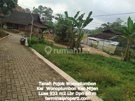 Tanah Dijual Hak Milik SHM Pribadi Pojok di Wonoplumbon Kec Mijen Semarang Barat 1