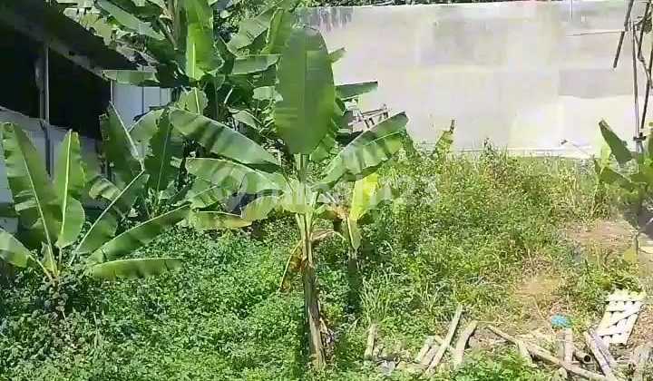 Tanah Dijual SHM Hak Milik di Patemon Dekat Unes Sekaran Gunungpati Semarang Selatan 2