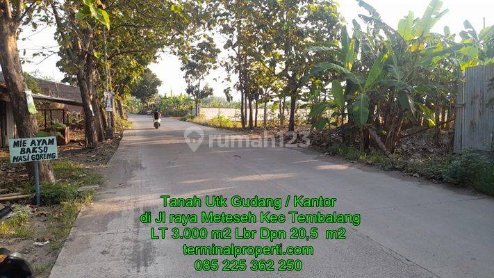 Tanah Dijual Murah SHM Hak Milik Pribadi di Jl raya Meteseh Kec Tembalang Semarang Timur 2