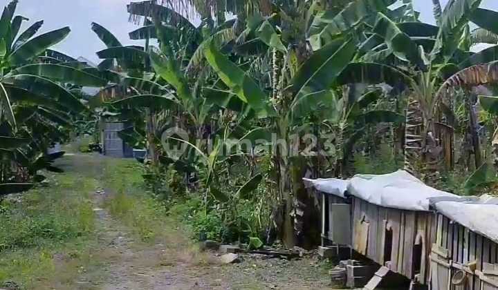 Tanah Dijual SHM Hak Milik di Perum Ganesha Pedurungan Tengah Semarang Timur 1