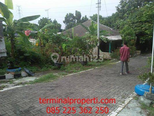 Tanah Dijual SHM Hak Milik Di Perum Pondok Beringin Ngaliyan Semarang Barat 1