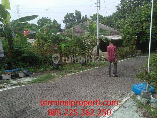 Tanah Dijual SHM Hak Milik Di Perum Pondok Beringin Ngaliyan Semarang Barat 2