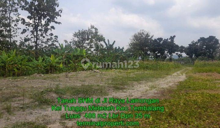 Tanah Dijual SHM Hak Milik di Jl Raya Lamongan Kel Tunggu Meteseh Tembalang Semarang Timur 2