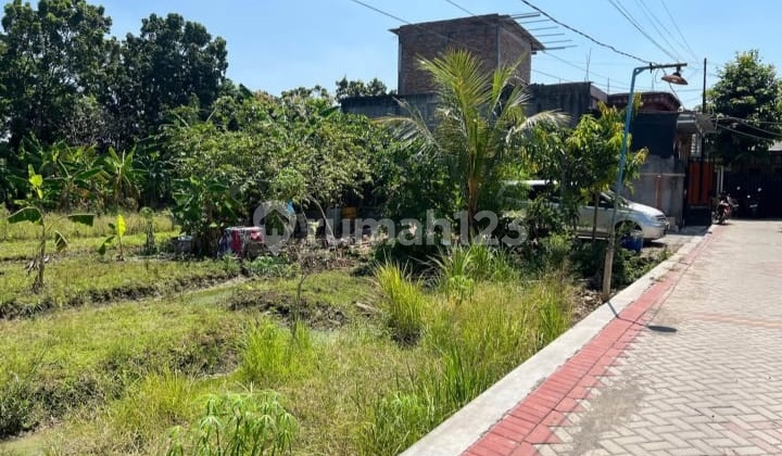Land for Sale Cheap Freehold SHM in Gasem Wulung Tlogosari Wetan, Pedurungan Sub-district, East Semarang 2