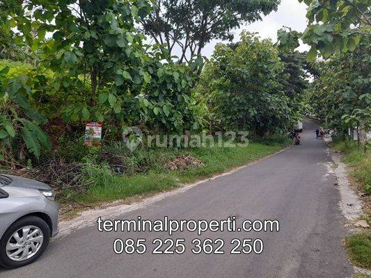 Tanah Dijual murah SHM Hak Milik di Jl Raya Durenan - Sendangmulyo Kel Mangunharjo Tembalang 1