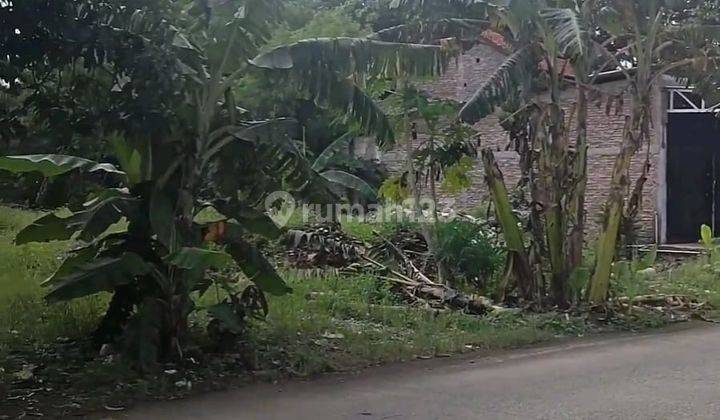 Tanah Disewakan SHM di Jl Raya Sumberejo Meteseh  Kec Tembalang Semarang Timur 1