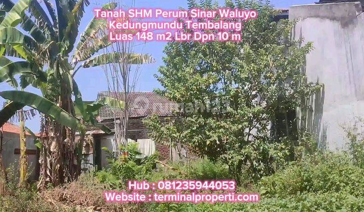 Tanah Dijual Murah SHM Hak Milik Perum Sinar Waluyo Kedungmundu Kec Tembalang Semarang Timur 2