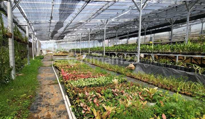 Tanah Dijual SHM Hak Milik Utk Hotel di Jl Raya Jimbaran Bandungan Kab Semarang 1