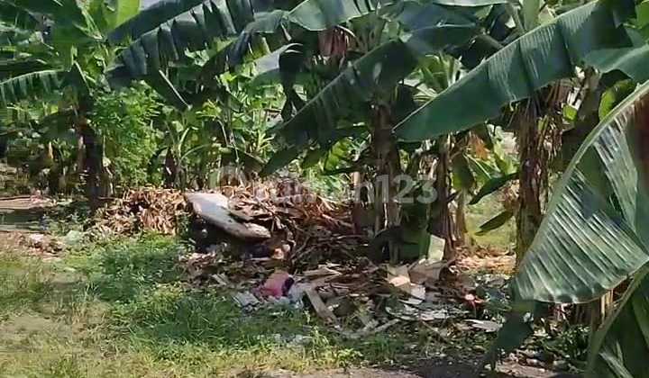 Land for Sale with SHM Directly from Owner Next to Ganesha Housing, Central Pedurungan, Wolter Main Road, East Semarang 1