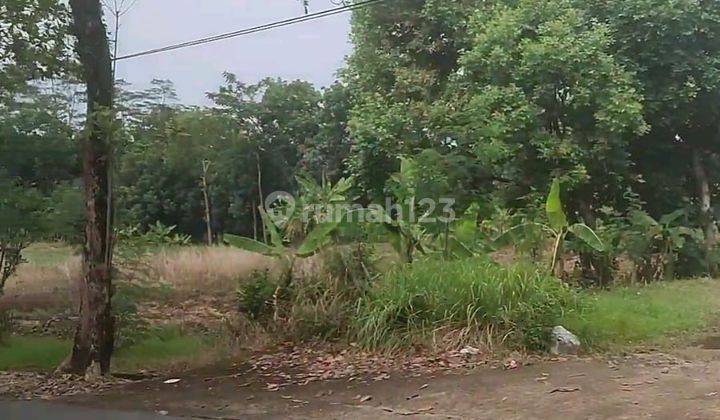 Tanah Dijual Utk Perum SHM Hak Milik  Jl Raya Ampel Gading  Sblh  UNES  Gunungpati Semarang Selatan 1