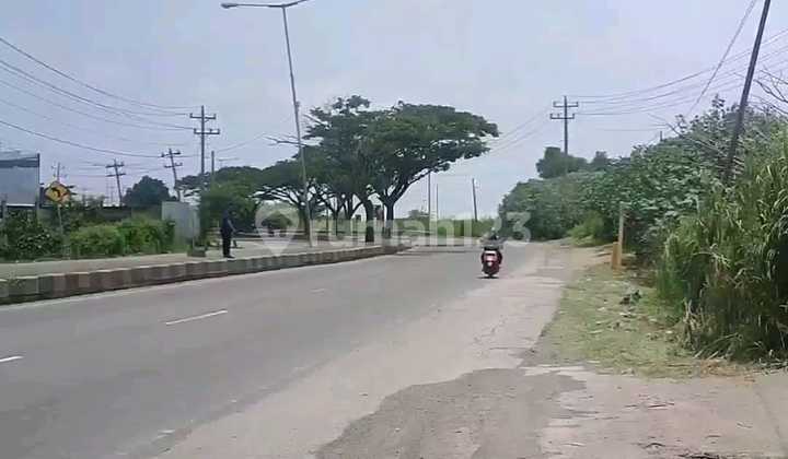 Land 10 Ha Including Filling SHM Industrial Zone on Ring Road Sukarno Hatta Kaliwungu Kendal 2