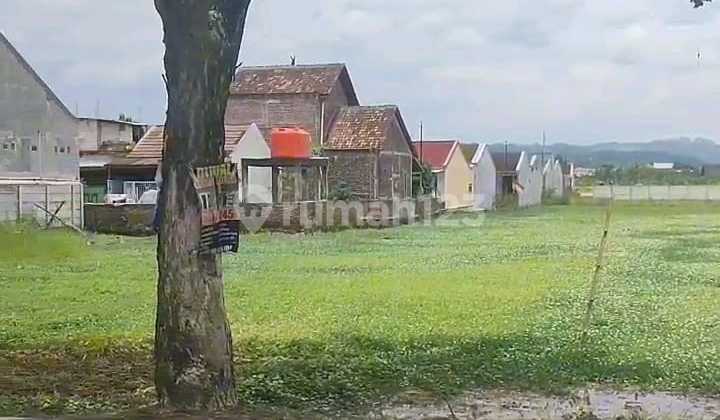 Tanah Dijual SHM Hak Milik di Jl Raya Meteseh Blk Pasar Tembalang Semarang Timur