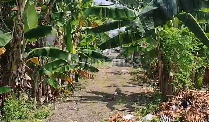 Tanah Dijual SHM Langs Pemilik Sblh Perum Ganesha Pedurungan Tengah Jl Raya Wolter Semarang Timur 1