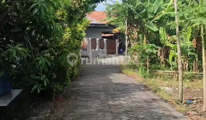 Tanah Dijual Bebas Banjir SHM Hak Milik Pribadi di Dk Tunggu Meteseh Tembalang Semarang Timur 1