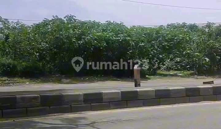 Land 10 Ha Including Filling SHM Industrial Zone on Ring Road Sukarno Hatta Kaliwungu Kendal 1