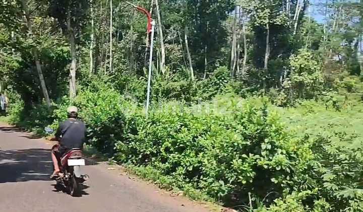 Land for Sale – Freehold Title (Private Ownership) – Jl Raya Nongko Lanang, Wonoplumbon, Mijen, West Semarang 1