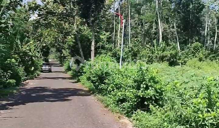 Land for Sale – Freehold Title (Private Ownership) – Jl Raya Nongko Lanang, Wonoplumbon, Mijen, West Semarang 2