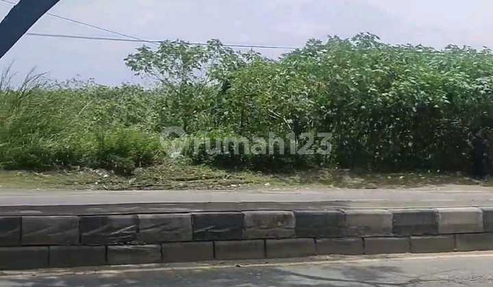 10 Ha Land Including Backfill, Freehold Title, Industrial Zone on Ring Road Sukarno Hatta, Kaliwungu, Kendal 1