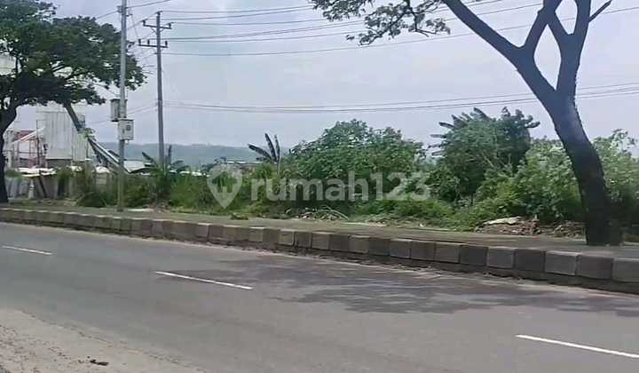 Land 5 - 50 Ha Including Fill with Freehold Title (SHM) Industrial Zone on Sukarno Hatta Ring Road, Kaliwungu, Kendal 1