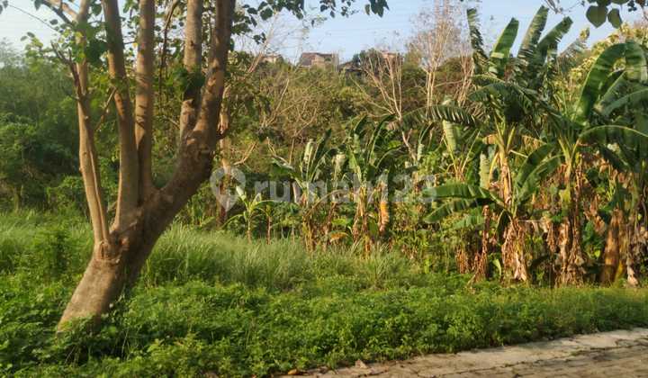 Tanah Dijual SHM Hak Milik Jl Candi Kalasan Kalipancur Ngaliyan Semarang Barat Tanah Dijual SHM Hak Milik Jl Candi Kalasan Kalipancur Ngaliyan Semarang Barat