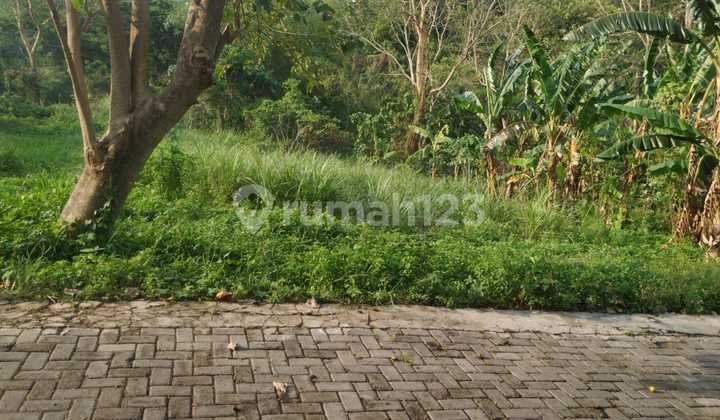Tanah Dijual SHM Hak Milik Jl Candi Kalasan Kalipancur Ngaliyan Semarang Barat Tanah Dijual SHM Hak Milik Jl Candi Kalasan Kalipancur Ngaliyan Semarang Barat