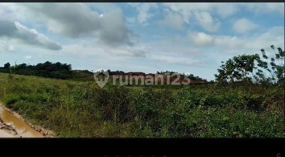 Tanah Kebun di Jual Murah Torobulu,Sulawesi Tenggara Tanah Kebun di Jual Murah Torobulu,Sulawesi Tenggara