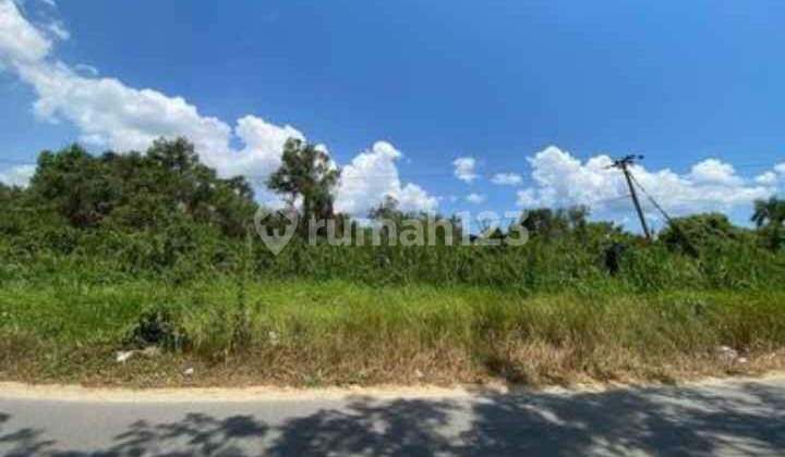 Di Jual Tanah Lokasi Strategis di Kendari Di Jual Tanah Lokasi Strategis di Kendari