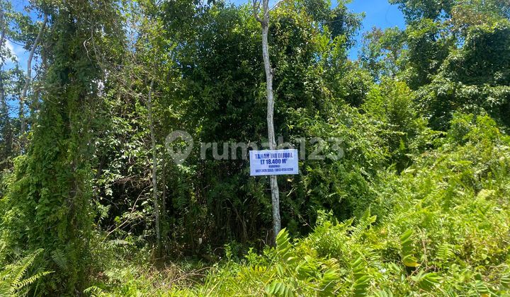 For Sale, Land in a Strategic Location in Nanga Nanga, Kendari, Southeast Sulawesi.