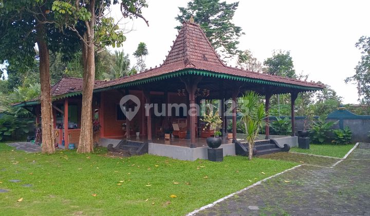 Joglo Villa House Behind Joglo Plawang Turi Pakem Road: Excellent