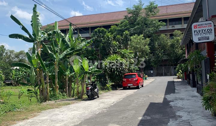 Dekat Kampus Sanata Dharma Paingan Lingkungan Kost Tanah Prospek Dekat Kampus Sanata Dharma Paingan Lingkungan Kost Tanah Prospek