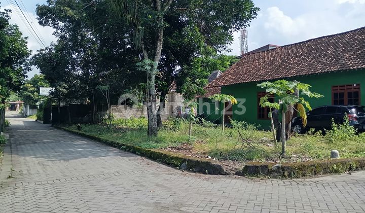 Land for Sale with Hook on Stadium Road, Legality: SHM (Certificate of Ownership) for Yard